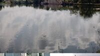 img_1696162249499_copy_346x519